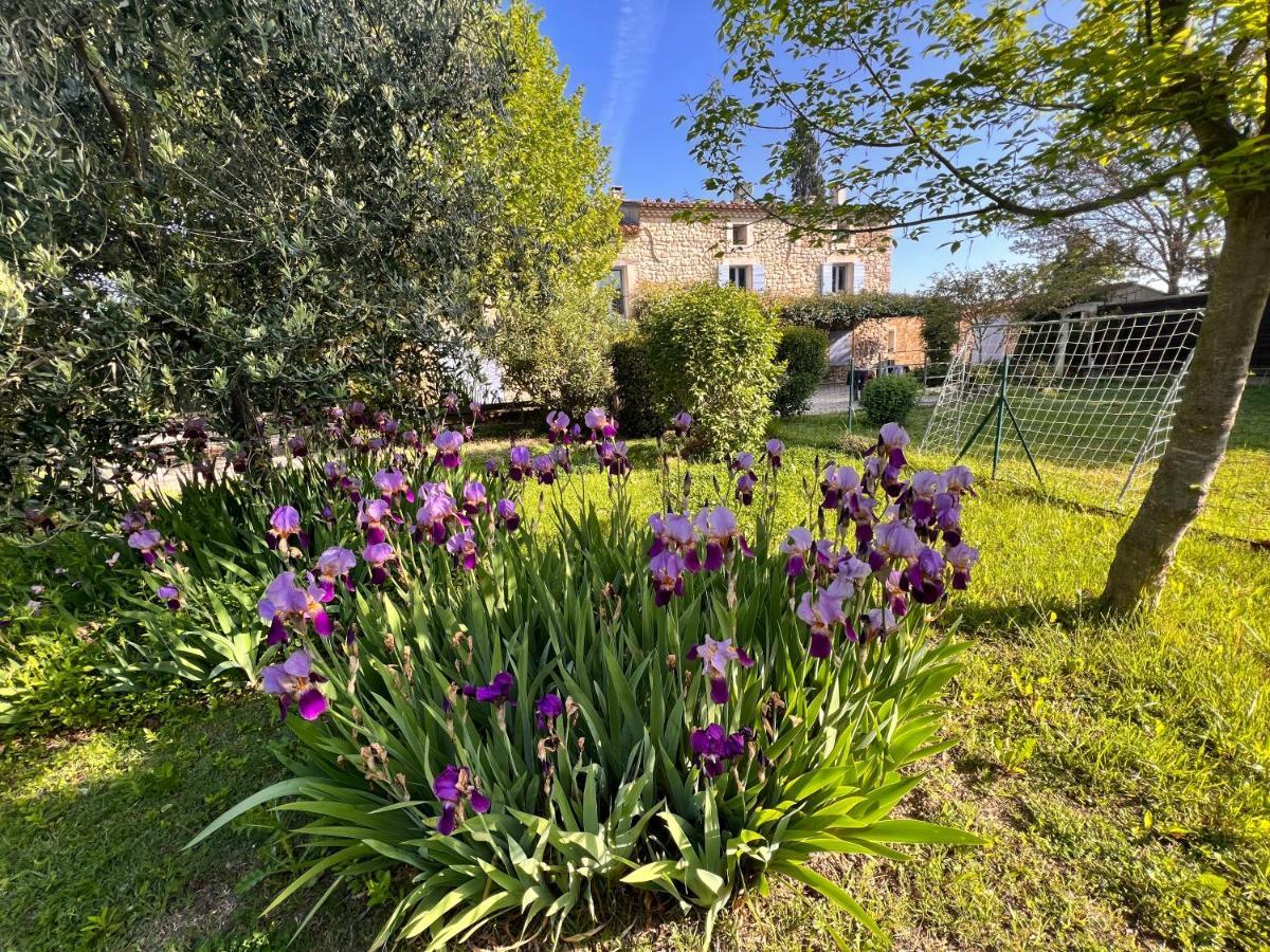 Apartament Mas De L'Estiou Monteux Zewnętrze zdjęcie