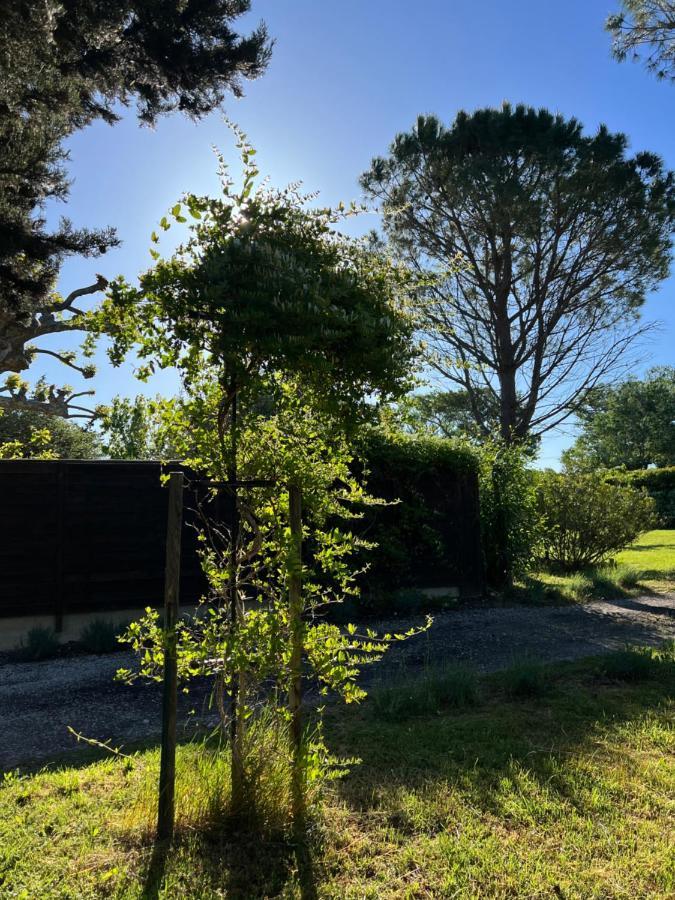 Apartament Mas De L'Estiou Monteux Zewnętrze zdjęcie